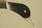 JAPANESE PAINTING OLD Hanging Scroll Duck Picture INK ART Antique Japan a990