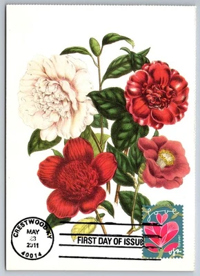 #4531 Garden of Love Pink Flower FDC Maxi Card - Image 1 of 2