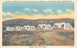 # G4964 WHITE'S CITY, N.M. POSTAL, WHITE'S CITY CATTAGES - Imagen 1 de 2