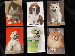 Vintage Lot Punzen Hunde Postkarten - Bild 1 von 7
