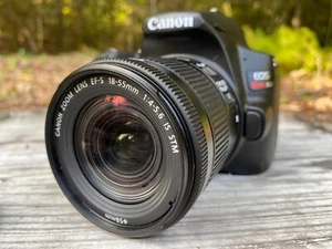 Canon EOS Rebel SL3 Camera with Canon EF-S 18-55mm Lens with Image Stabilizer - Picture 1 of 13