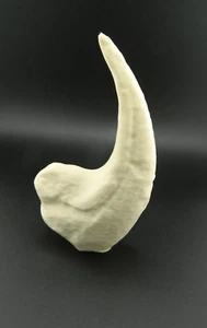 RAPTOR CLAW DINOSAUR FOSSIL BONE VELOCIRAPTOR JURASSIC REPLICA 3D Printed NEW - Picture 1 of 6