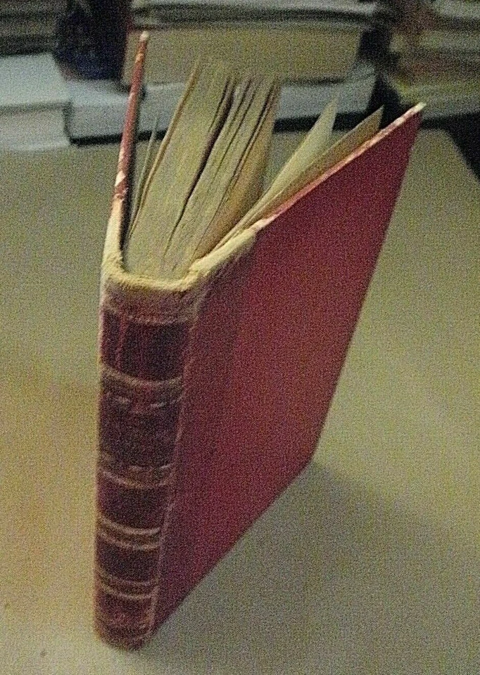 Anatole France LA ISLA DE LOS PINGUINOS novela / Anni '20 / in spagnolo - Immagine 1 di 1