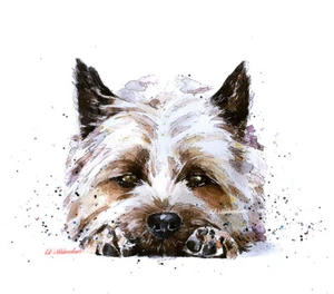 Relax "The Cairn way" Print Watercolour.Cairn Terrier art,Cairn Terrier print. - Picture 1 of 2