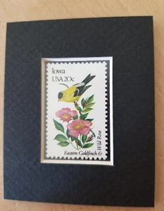 MATTED UNUSED 1982 STAMP FOR IOWA STATE BIRD & FLOWER - Picture 1 of 2