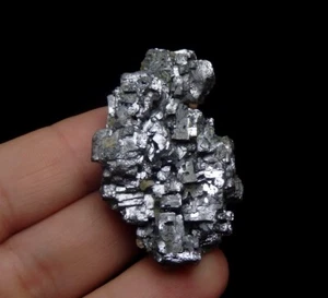 GALENA interesting lustrous skeletal crystals !!! - BULGARIA Madan /pi853 - Picture 1 of 16