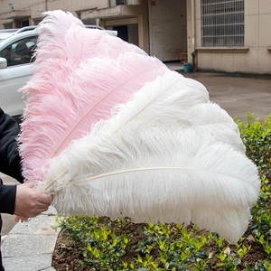 10PCS Colorful Ostrich Feathers Farm Feather for Wedding Party Decor Plumes G0 - Picture 1 of 33