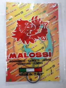 KIT GUARNIZIONI MALOSSI GHISA ALLUMINIO MINARELLI LC H2O AREOX F15 SR 11-8287 - Imagen 1 de 1
