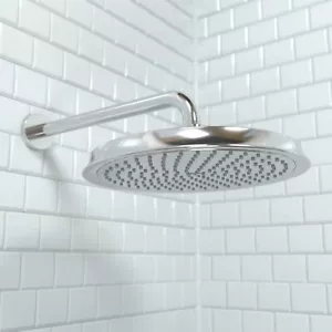 Hansgrohe 28427001 Raindance C soffione doccia 2,5 GPM cromato - Foto 1 di 8