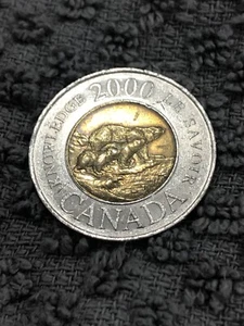 2000 Canadian Knowledge Toonie Mom N Two Cubs - Picture 1 of 5