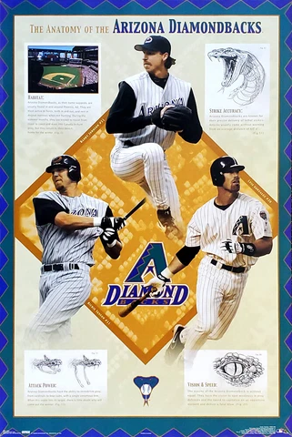 Arizona Diamondbacks ANATOMY 2003 22x34 POSTER - Randy Johnson, Luis Gonzalez + Cover