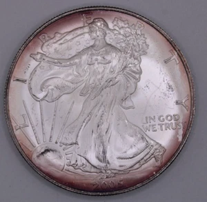 2005 Violet Toned American Silver Eagle - Picture 1 of 5