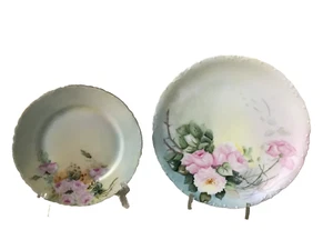 Rosenthal RC Two Hand Painted Signed Cabinet Plates Versailles Bavarian Floral - Imagen 1 de 7