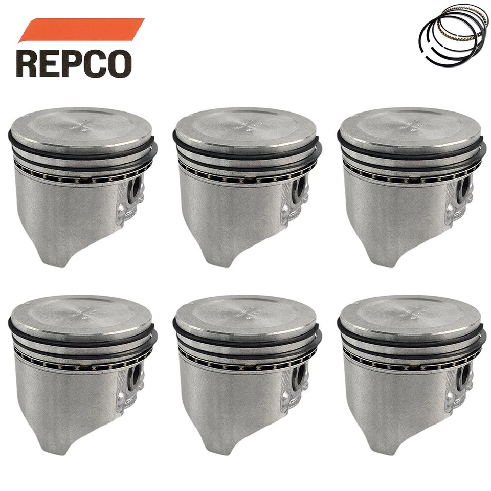 Juego de pistones y anillos con tapa de plato 060 para Ford Falcon 6 cilindros 200 221 250 1964-1993 Foto 1 de 1