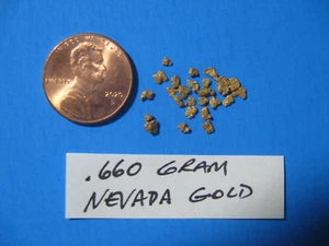 1 BORSA PEPITE ORO NEVADA .660 GRAMMI - Foto 1 di 1