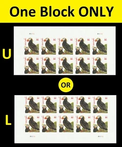 US 4737b Tufted Puffins 86c imperf NDC plate block 10 (orange Year) MNH 2013 - Picture 1 of 1