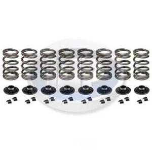 Engine Valve Spring Kit IAP/Kuhltek Motorwerks AC109571 - Picture 1 of 2