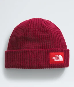NWT NORTH FACE Salty Lined Beanie NF0A3FJW682-OS-REG Red One Size - Picture 1 of 2