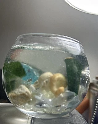 Miniature 1/4 Scale Glass Fishbowl Resin Aquarium Pet For BJD Dollhouse Or Room - Image 1 of 4