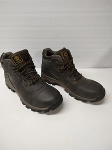 Timberland Timber Dry Boys Hicking Boots Size 6.5 NEW - Picture 1 of 12