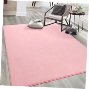 Soft Area Rugs for Bedroom Living Room, 4x6 Indoor Memory Foam 4x6 ft Pink - Picture 1 of 7