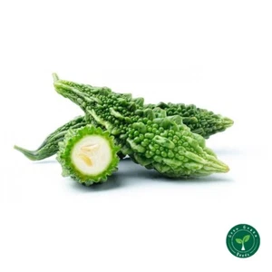 5 semillas de melón amargo - MOMORDICA CHARANTIA - Plus REGALO 5 semillas de girasol - Imagen 1 de 3
