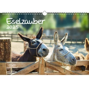 Eselzauber DIN A3 Kalender für 2025 Esel - Seelenzauber - Bild 1 von 7