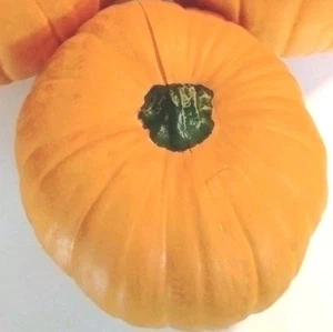 Set2 De Mediana Halloween Calabaza Acción de Gracias Artificial  - Imagen 1 de 2