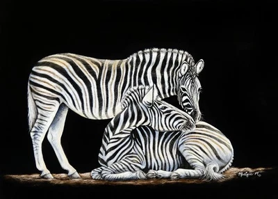 SALE * Original Wildlife Scratchboard Art  ZEBRAS  Painting Animal Horse Family - Image 1 of 4
