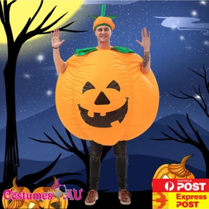 Adult Inflatable Orange Pumpkin Costume Mens Funny Novelty Dress Party Halloween - Picture 1 of 8