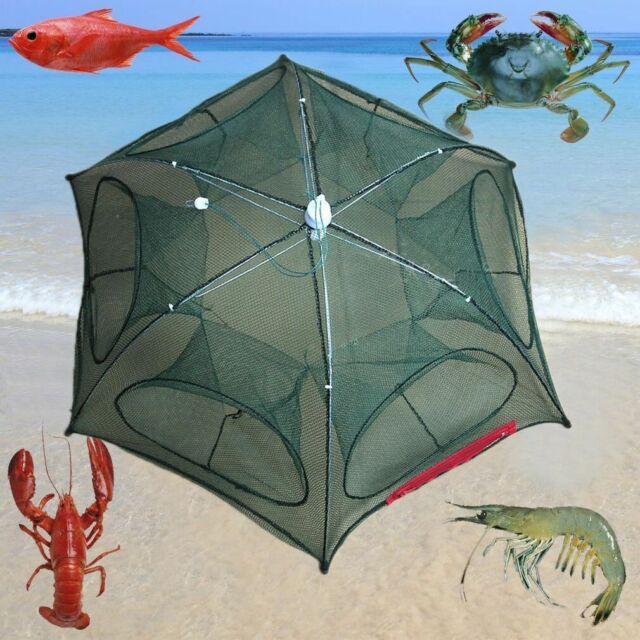 small fish trap products for sale