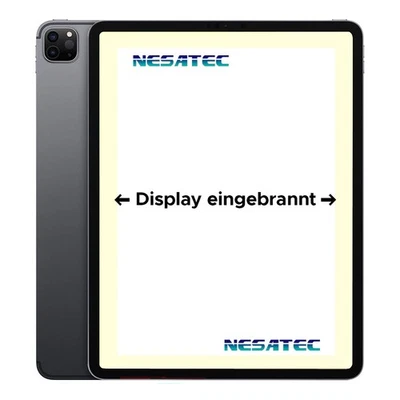 Apple iPad Pro 12,9" (4. Gen.) Wifi 256GB Space Gray Display Masterizzato - Immagine 1 di 4