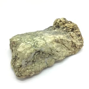 Big Sur Jade Botryoidaler Nephrit Jade Green Bubble Stone Monterey ca #57  - Bild 1 von 12