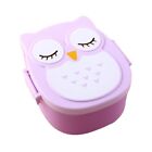 Owl shaped Lunch Box for Kids and Adults Great for School Work or Travel
