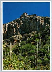 Postcard Arizona Sabino Canyon Bear Canyon The Thimble 22B - Picture 1 of 2