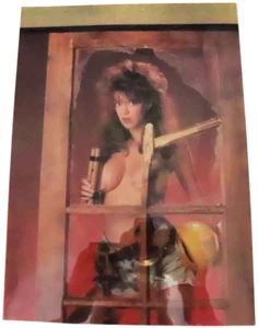 Pin-up 4 Color Separation Films for printing - 9" x 12" - vintage - Picture 1 of 5