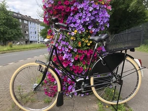 Gazelle „Tour Populaire“ - Bild 1 von 12