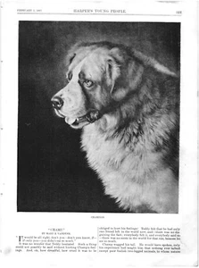 CHAMPION.VTG 1887 HARPER'S GRAVUR DRUCK AUF 11" x 8" SEITE - Bild 1 von 2