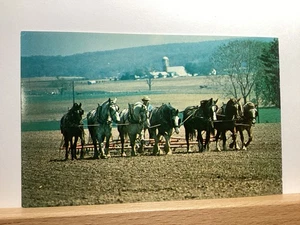 Amish Farmer with Hitch of 7 Horses to Plow the Ground: - Vintage Postcard - Picture 1 of 3