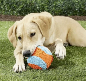 Chuckit! Indoor Ball Fetch Dog Toy Lightweight Foam New 5” Diameter Orange Blue - Picture 1 of 2