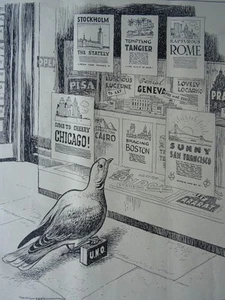 1945 Original Print WW2 HOMING PIGEON - U.N.O - IN SEARCH OF A HOME - WAR PIGEON - Picture 1 of 2