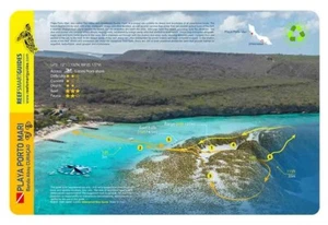 Porto Mari, Curacao, Waterproof Dive Card - Picture 1 of 2