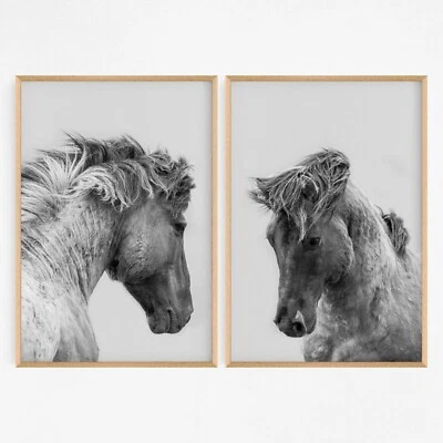 Juego de 2 estampados de arte animal caballo en blanco y negro A3 A2 A1. Perfecto para decoración del hogar Foto 1 de 4