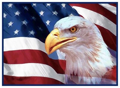 Bald Eagle and an American Flag  Counted Cross Stitch Chart - Image 1 of 4