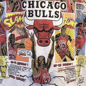 Camicia vintage Chicago Bulls extra large uomo caricatura 93 campioni del mondo Salem - Foto 1 di 17