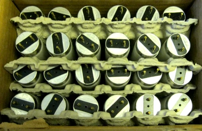 NEW GE 17W Fluorescent Tube Light Bulb Lamp 24" 2ft F17T8/SP35/ECO T8 CASE of 24 - Image 1 of 3