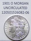 1901-O Morgan Dollar $1 Choice+ Unc Very Near Gem Grade By Photos 526082-06