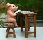 Reading Pig Statue Garden Sculpture Tabletop Figurine Home Decor Gifts
