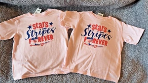 PATRIOTIC AMERICA Toddler Girls size 3T Toddler tees holiday fun TWINS NEW TAGS - Picture 1 of 4
