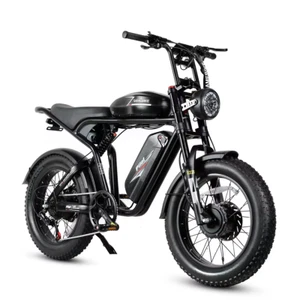 SAMEBIKE M20 III SAMEBIKE M20 III 2000w 48V (16Ah+16Ah)bicicletta elettrica 20 " - Imagen 1 de 16